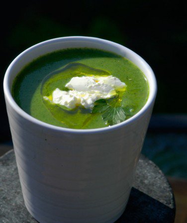 Bredbladdet persillesuppe