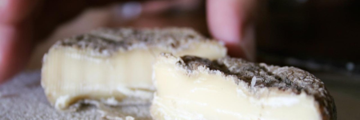 Kraftig modnet ost fra markedet i Bayeux