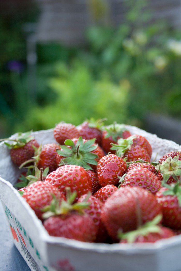 Friske modne danske jordbær
